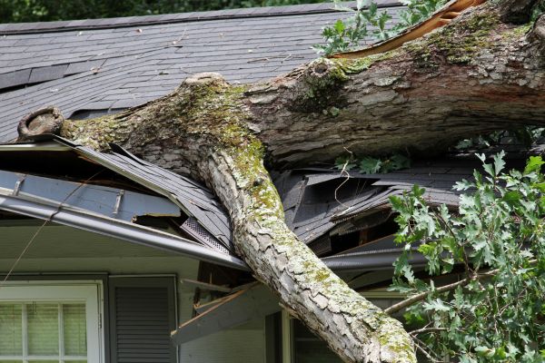 Storm Remediation in Gaithersburg