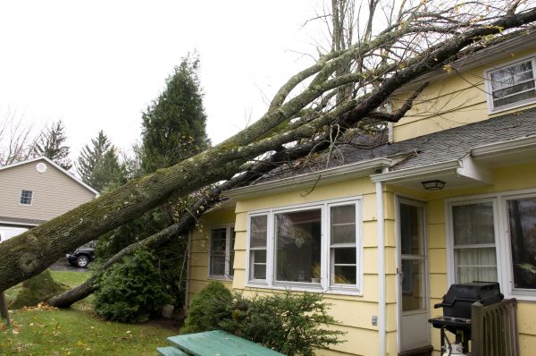 Hurricane Damage Repair in Gaithersburg